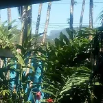 Mizuca\'S House