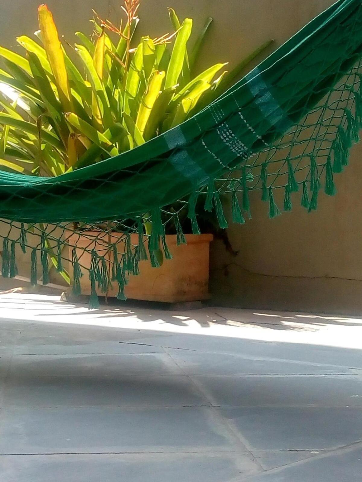 Mizuca's House *